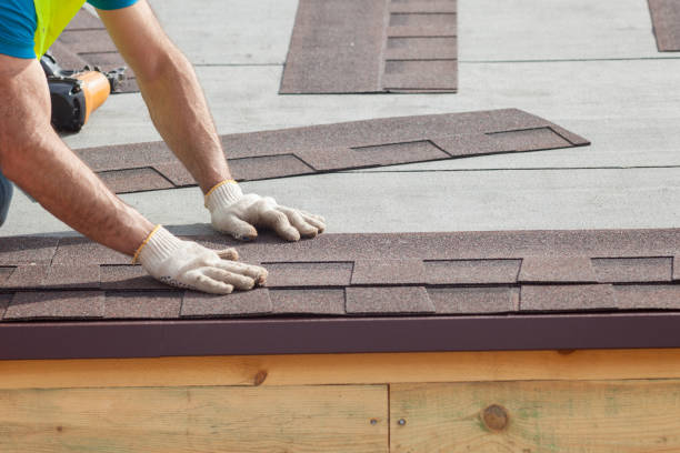 Best Solar Panel Roofing Installation  in Ronan, MT